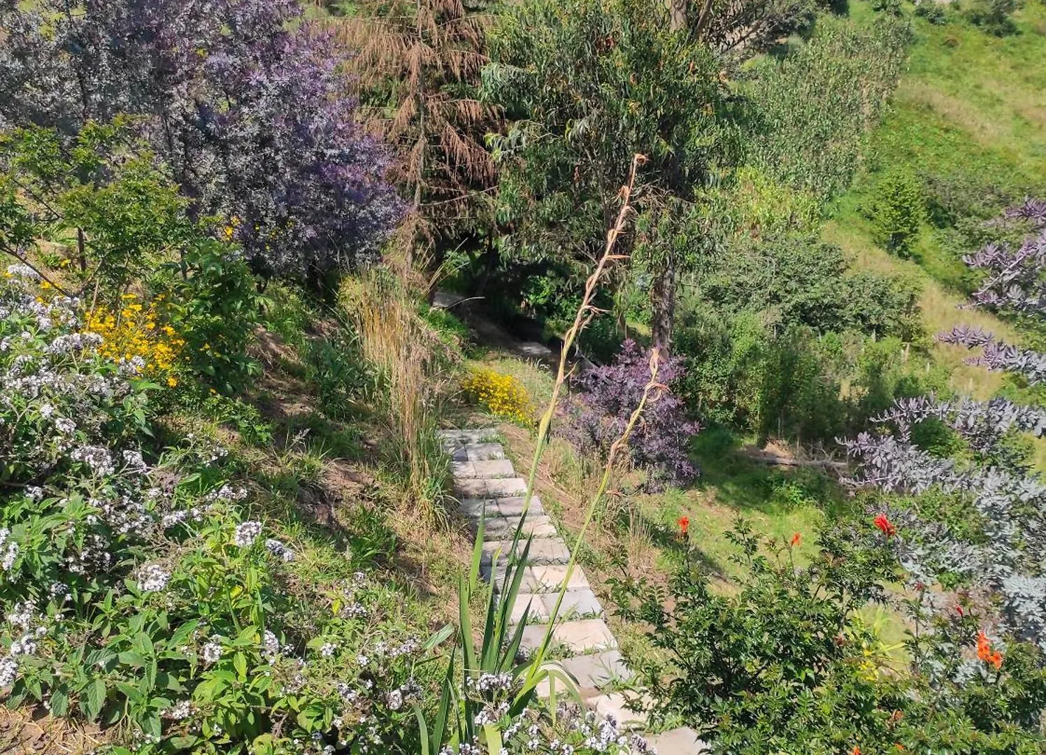 Pumamaki Ecolodge Glamping Quito Camping