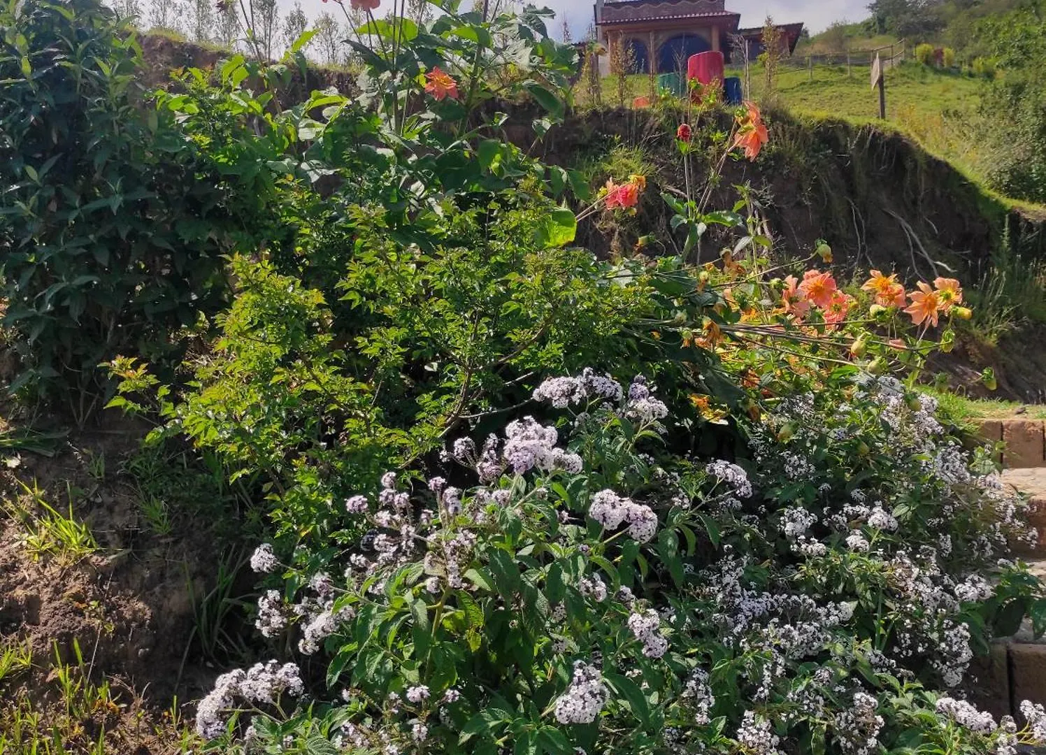 Camping Pumamaki Ecolodge Glamping Quito Ecuador